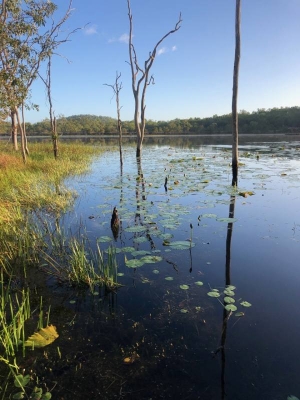 2020-06-19_Veiw from C01