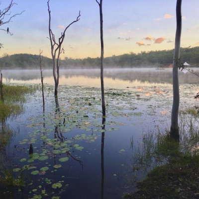 camp01_2020-06-26_image0