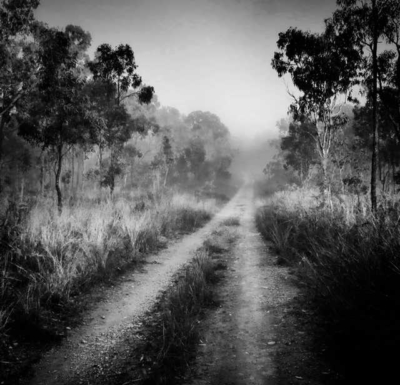 2018-08-03 track-mist-BW 3127