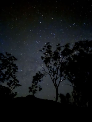 C07_25-06-14_STARRY SKY